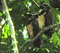 IMG_8571-1