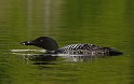 2009-07-25_17-57-10_MG_0500
