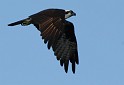2009-07-25_18-00-14_MG_0509