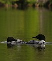 2009-07-25_18-00-56_MG_0517