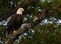 2009-07-25_18-04-41_MG_0575