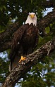 2009-07-25_18-04-54_MG_0582
