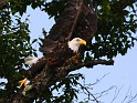2009-07-25_18-05-13_MG_0591