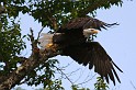 2009-07-25_18-05-13_MG_0592